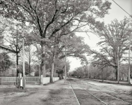 Circa  Summerville South Carolina -- Walton Way